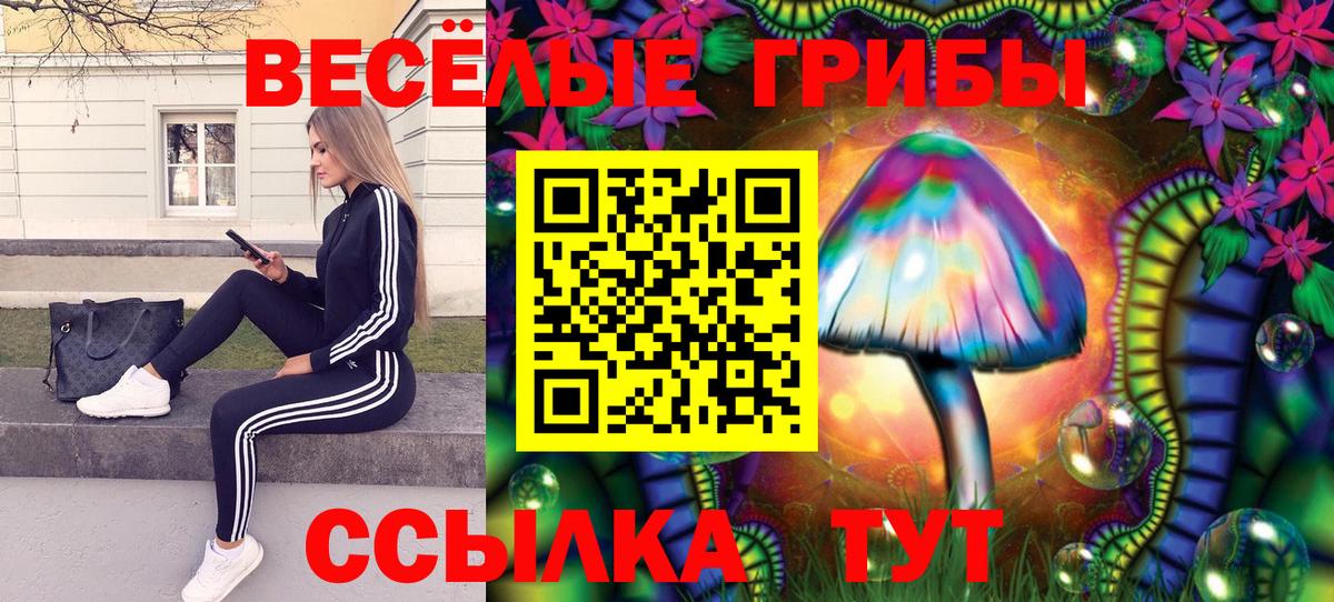 Псилоцибиновые грибы Magic Shrooms Шуя