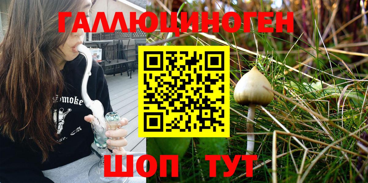Галлюциногенные грибы Magic Shrooms  Вход с VPN  Шуя  Галлюциногенные грибы Magic Shrooms 
