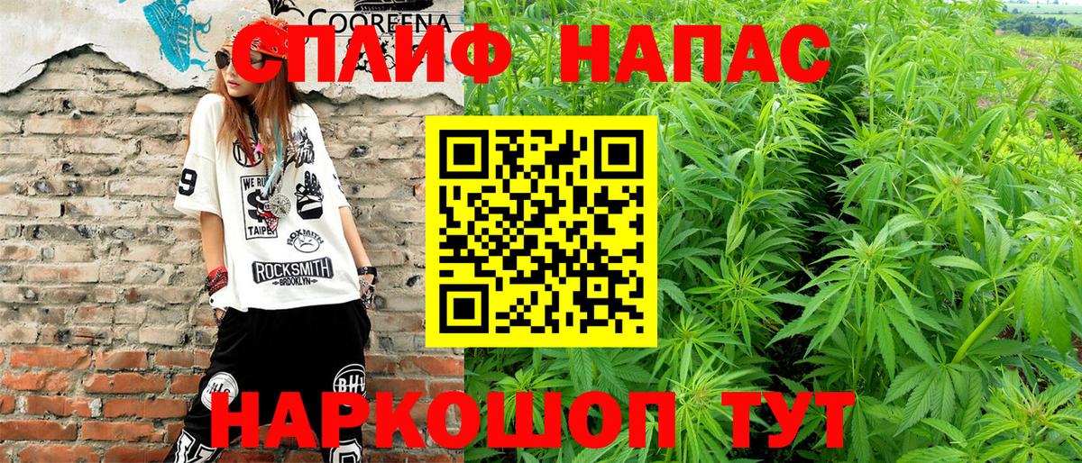 Канабис семена Шуя
